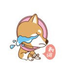 HappinessShiba - Gifaye and Limon（個別スタンプ：22）