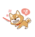 HappinessShiba - Gifaye and Limon（個別スタンプ：24）
