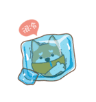 HappinessShiba - Gifaye and Limon（個別スタンプ：25）