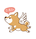 HappinessShiba - Gifaye and Limon（個別スタンプ：29）