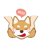 HappinessShiba - Gifaye and Limon（個別スタンプ：33）