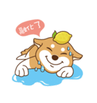 HappinessShiba - Gifaye and Limon（個別スタンプ：34）