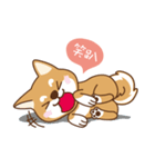 HappinessShiba - Gifaye and Limon（個別スタンプ：36）