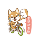 HappinessShiba - Gifaye and Limon（個別スタンプ：37）