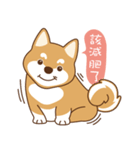 HappinessShiba - Gifaye and Limon（個別スタンプ：38）