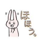 うさぎんの日常。（個別スタンプ：1）