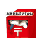 わるざっくん（個別スタンプ：33）
