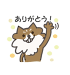 うけぐちチワワのRIKU 2（個別スタンプ：1）