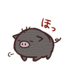 ブーちゃんです。（個別スタンプ：13）