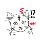 時々リアルな猫（個別スタンプ：26）