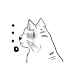 時々リアルな猫（個別スタンプ：34）