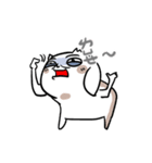 NEVER LUCKY（個別スタンプ：19）