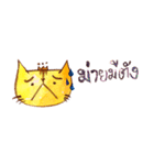 My "boyfriend" is a Cat（個別スタンプ：23）