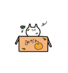 うざ かわ ネコ（個別スタンプ：15）