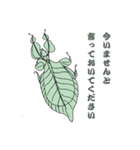 和風虫さん倶楽部（個別スタンプ：12）