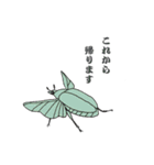 和風虫さん倶楽部（個別スタンプ：21）