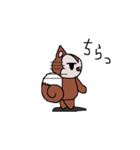 こりすのりっち（個別スタンプ：11）