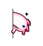 pink Axolotl live（個別スタンプ：10）