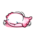 pink Axolotl live（個別スタンプ：19）
