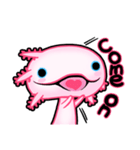pink Axolotl live（個別スタンプ：22）
