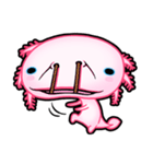 pink Axolotl live（個別スタンプ：29）