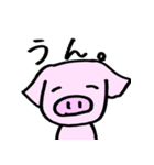 ぶたのぶんごろうと、こねこさんのスタンプ（個別スタンプ：16）