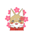 SHIBA WANKO（個別スタンプ：1）
