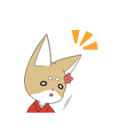 SHIBA WANKO（個別スタンプ：11）