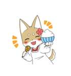 SHIBA WANKO（個別スタンプ：23）