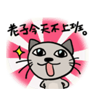 Sonca cat（個別スタンプ：4）