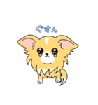 おうちのワンコ（個別スタンプ：4）