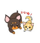 おうちのワンコ（個別スタンプ：6）
