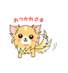 おうちのワンコ（個別スタンプ：15）