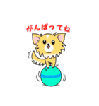 おうちのワンコ（個別スタンプ：16）