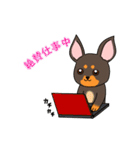 おうちのワンコ（個別スタンプ：19）