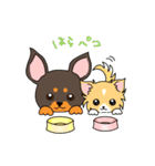 おうちのワンコ（個別スタンプ：25）