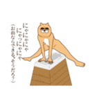 閲覧注意！ねこもどき（個別スタンプ：17）