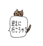 無愛想なネコのふきだしスタンプ（個別スタンプ：5）