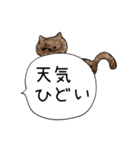 無愛想なネコのふきだしスタンプ（個別スタンプ：7）