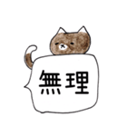 無愛想なネコのふきだしスタンプ（個別スタンプ：19）