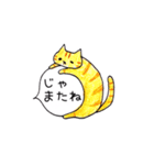 無愛想なネコのふきだしスタンプ（個別スタンプ：24）