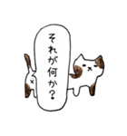 無愛想なネコのふきだしスタンプ（個別スタンプ：25）