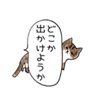 無愛想なネコのふきだしスタンプ（個別スタンプ：29）