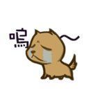 Common life of A-Dai Dog（個別スタンプ：1）