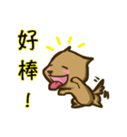 Common life of A-Dai Dog（個別スタンプ：11）