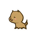 Common life of A-Dai Dog（個別スタンプ：19）