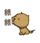 Common life of A-Dai Dog（個別スタンプ：37）
