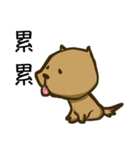 Common life of A-Dai Dog（個別スタンプ：38）