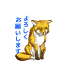 我ら動物 1.2（個別スタンプ：27）