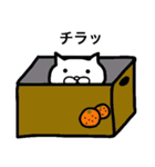 気ままなねこ（個別スタンプ：9）